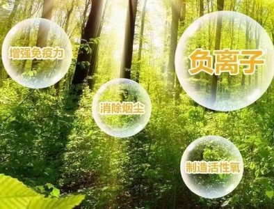 納米、改性、分子橋等，負(fù)氧離子生態(tài)液